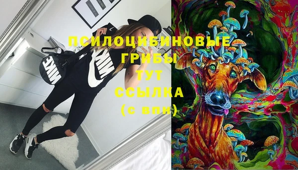 тгк Бугульма