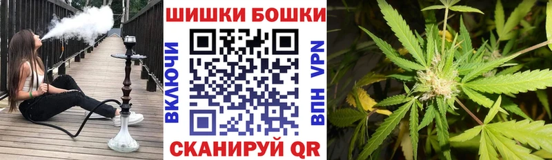 Каннабис Amnesia  Купить где  Сунжа 